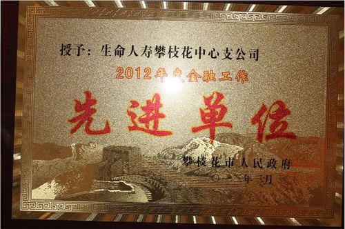 攀枝花中支榮獲攀枝花市“2012年度金融工作先進(jìn)單位”